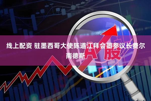 线上配资 驻墨西哥大使陈道江拜会墨参议长费尔南德斯