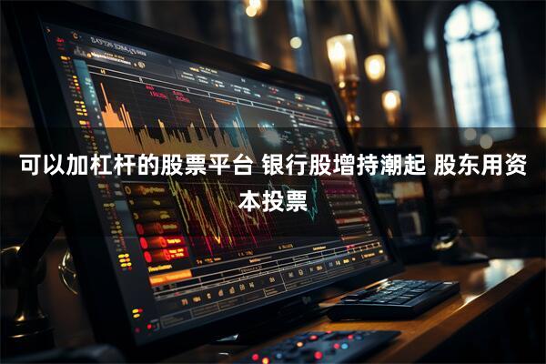 可以加杠杆的股票平台 银行股增持潮起 股东用资本投票